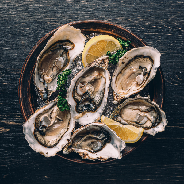 Austern Aphrodisiakum