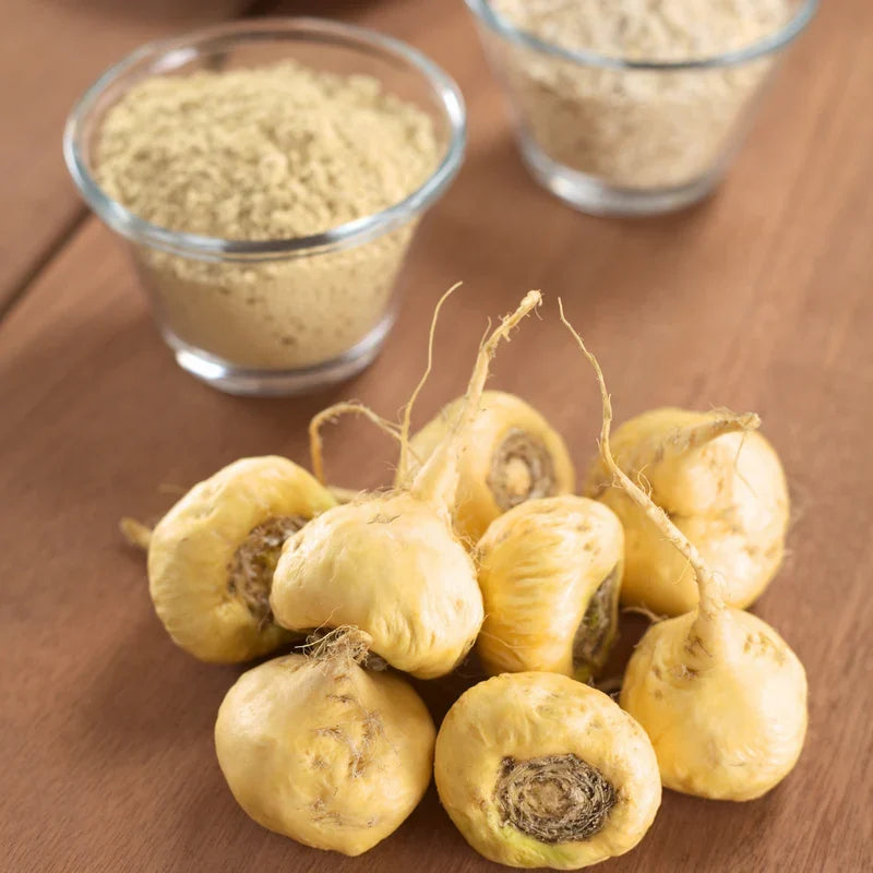 Maca